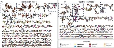 Comprehensive comparative metabolome study of a large collection of Corsican bryophytes